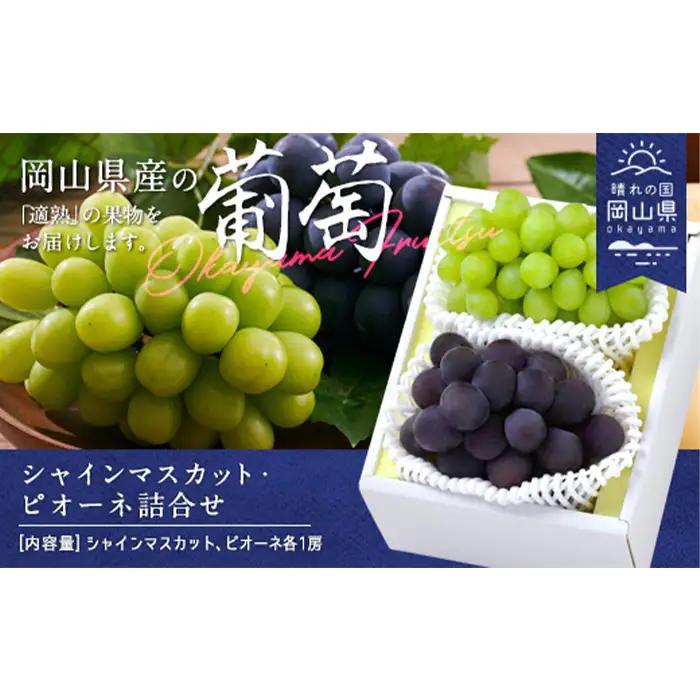 岡山県産「シャインマスカット・ニューピオーネ」詰合せ 約1.0kg【26年8月下旬以降の出荷分】
