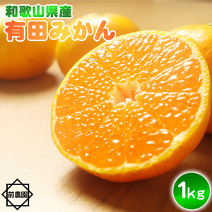 【2026年先行予約】【産地直送】和歌山県産 有田みかん 1kg サイズ混合_BL6167