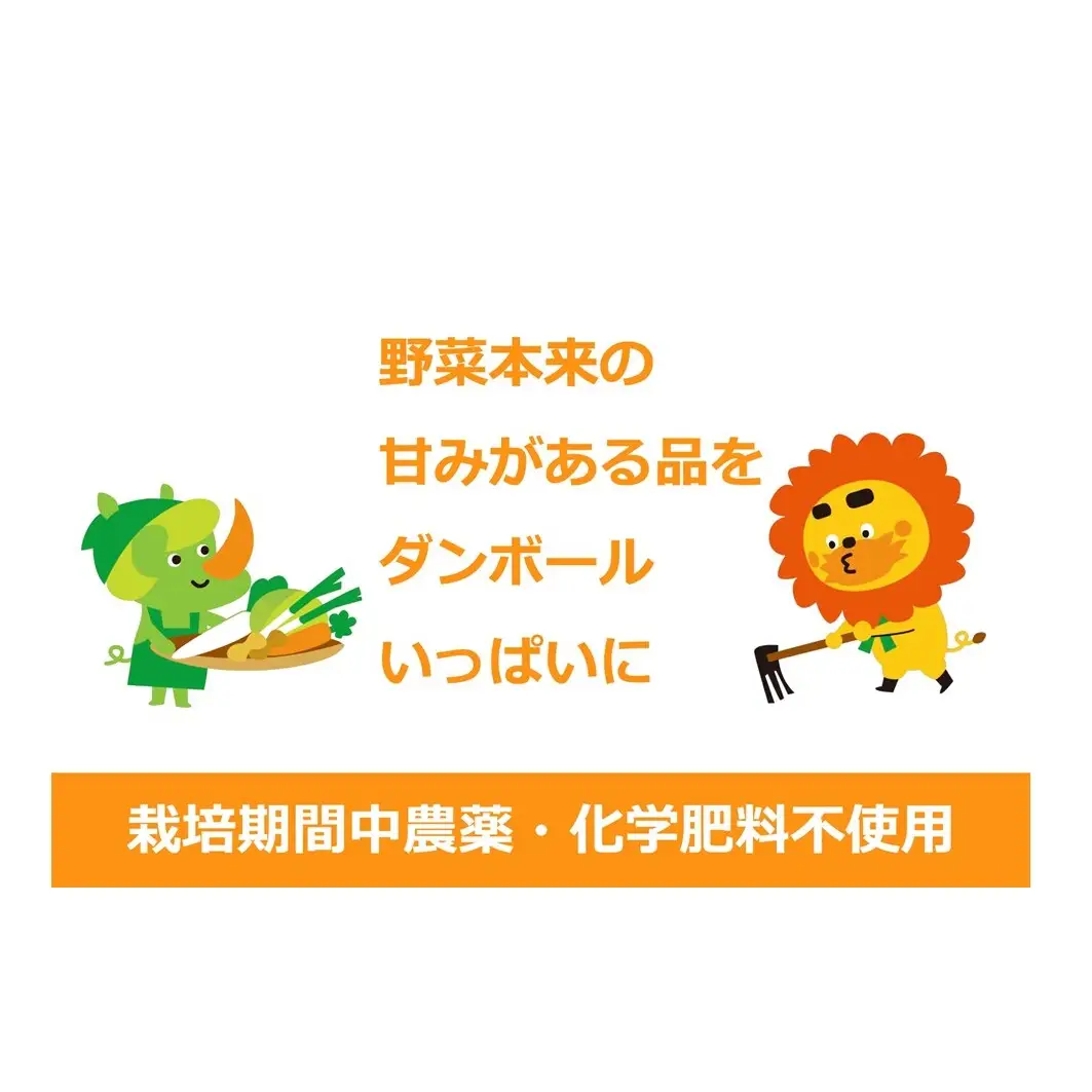 2～4名様向け／旬の野菜7種セット 野菜セット 野菜詰合せ 産地直送 農園直送 食べ物 食品 グルメ 食卓 ベジタブル 国産 日本産 国産野菜 