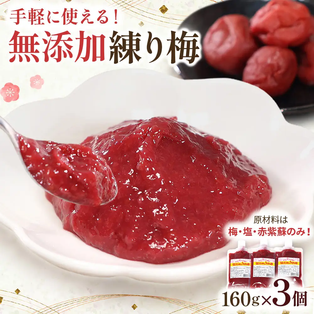 宮城県角田産　【無添加】まごころ 手作り 練り梅(160g)×3個 ｜ 梅干し ふるさとの味