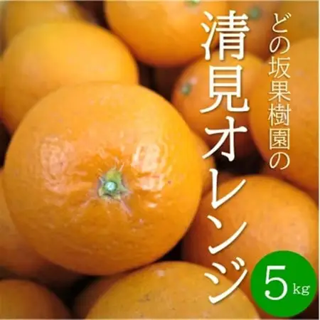 【2027年3月以降出荷】どの坂果樹園の清見オレンジ　5kg(サイズ混合)【1492088】