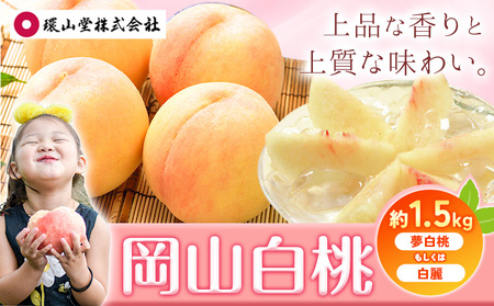 桃  岡山白桃  約1.5kg 環山堂株式会社【配送不可地域あり】 桃