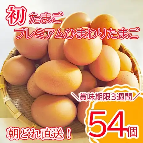 【最短翌日発送】＼２～５日以内発送／ 初たまご プレミアムひまわりたまご54個程度※破卵補償