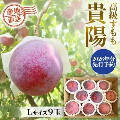 【2025年発送分 先行予約】貴陽（L）9玉　すもも プラム スモモ 李 くだもの 果物 やまなし 山梨フルーツ 産地直送 富士川町