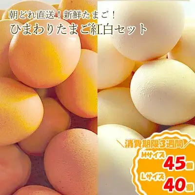 農林水産大臣賞受賞！ひまわりたまご 紅白セット（40〜45個）※破卵補償10個含（冷蔵） 卵 鶏卵 玉子 最短