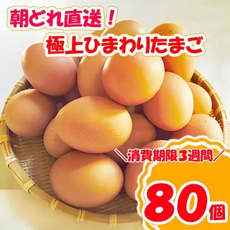B1811極上ひまわりたまご（２段）※破卵補償10個含 卵 鶏卵 玉子