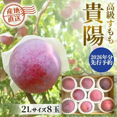 【2026年発送分 先行予約】貴陽（2L）８玉