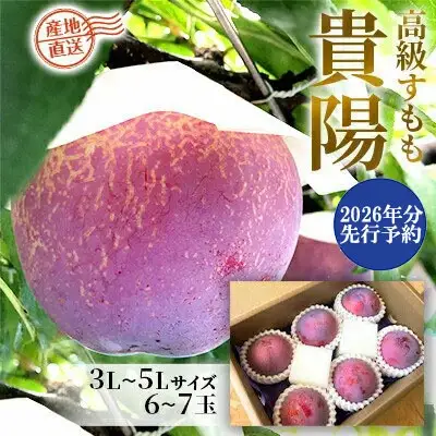 【2026年発送分 先行予約】貴陽（3L－5L）6-7玉