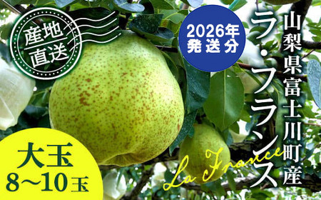 【2026年発送分 先行予約】 ラ・フランス 大玉 8～10玉 (４kg以上) ※2026年10月中旬以降発送予定　洋ナシ 洋梨 フルーツ 果物 富士川町