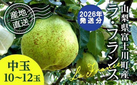 【2026年発送分 先行予約】 ラ・フランス 中玉 10-12玉 (3.5kg以上) ※2026年10月中旬以降発送予定　洋ナシ 洋梨 フルーツ 果物 富士川町