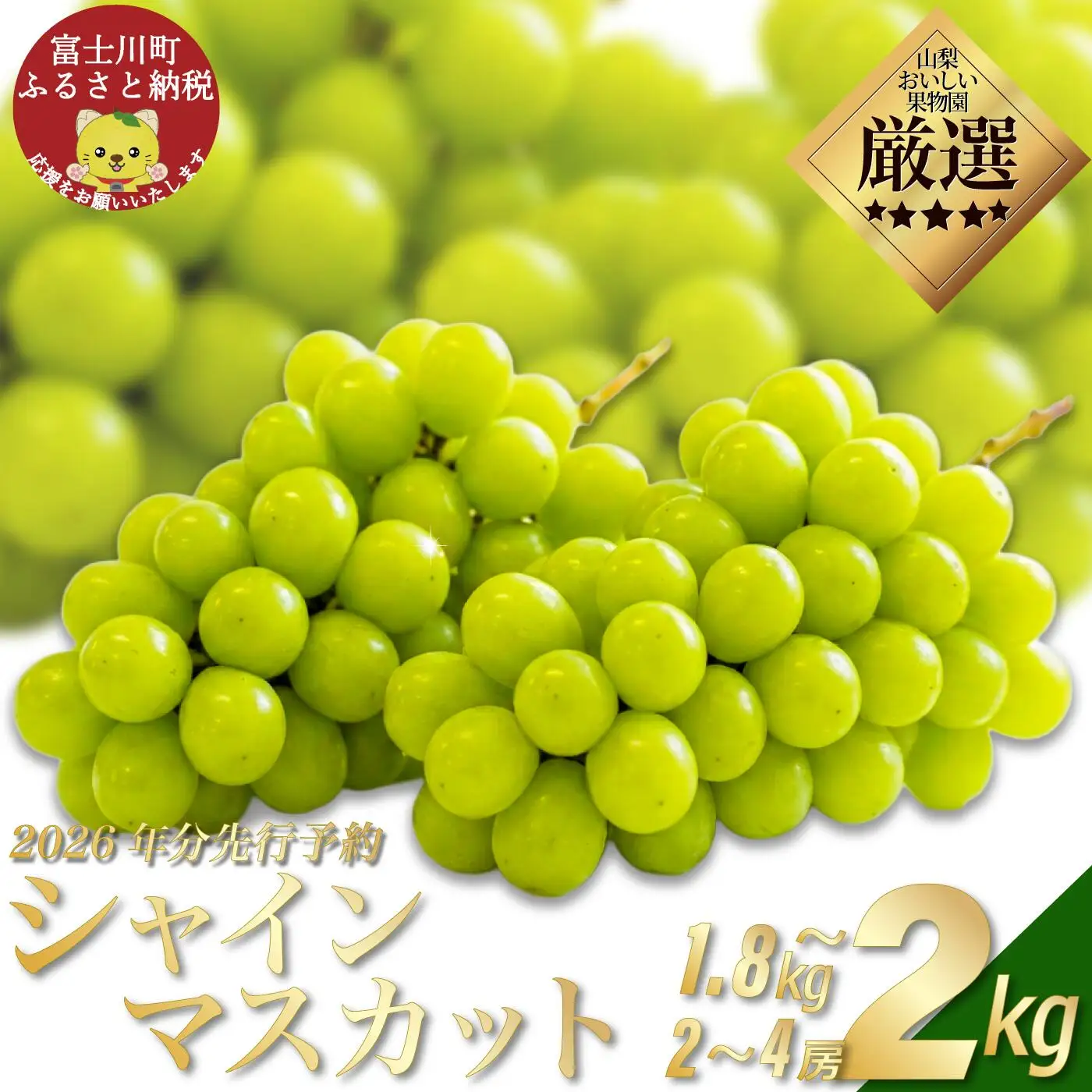 【贈答用】【2026年発送分 先行予約】 山梨おいしい果物園のシャインマスカット 1.8kg-2.0kg (2~4房)　産地直送 フルーツ シャイン マスカット ブドウ ぶどう 山梨 やまなし 富士川町
