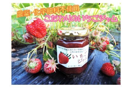 E1700「いちごジャム」2個セット 数量限定！