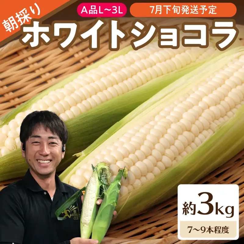《先行受付》朝採りホワイトショコラ約3kg・A品L～3L・7～9本程度 【2026年7月下旬頃～発送予定】【山形とうもろこし・大江町産・明石農園】 027-003