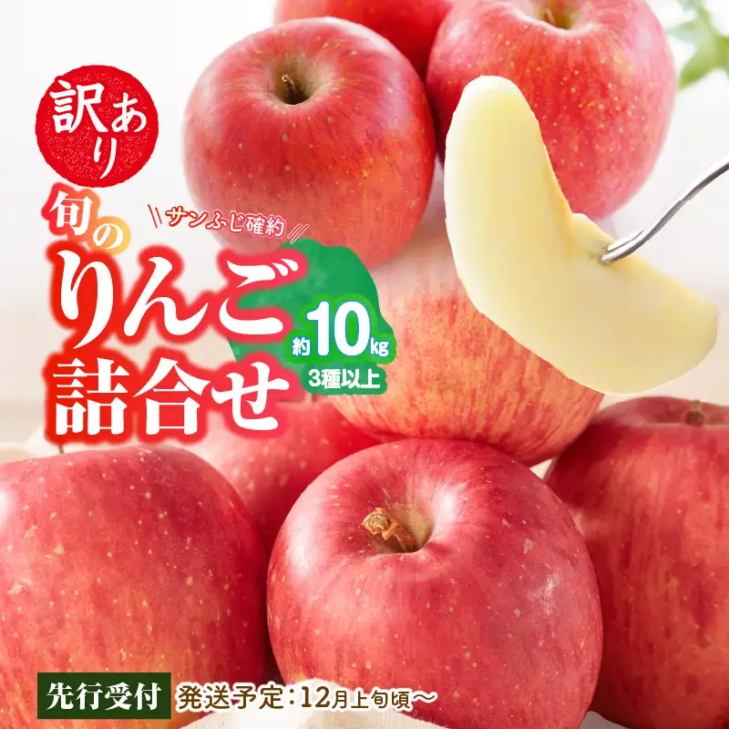 《先行受付》訳あり 旬のりんご詰合せ約10kg（サンふじ確約3種以上）【2026年12月上旬頃～発送予定】【大江町産・山形りんご・りんご専科 清野】 015-053