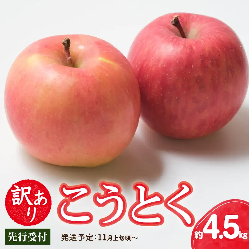 《先行受付》訳ありこうとく約4.5kg【2026年11月上旬頃～発送予定】【大江町産・山形りんご・りんご専科 清野】 015-063