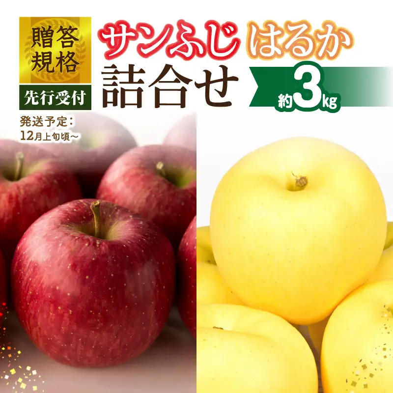 《先行受付》贈答規格「サンふじ」「はるか」約3kg詰合せ（特秀～秀）【2026年12月上旬～発送予定】【大江町産・山形りんご・りんご専科 清野】 015-064