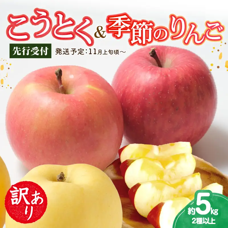 《先行受付》訳ありこうとく＆季節のりんご詰合せ約5kg 2種以上【2026年11月上旬～発送予定】【大江町産・山形りんご・りんご専科 清野】 015-062