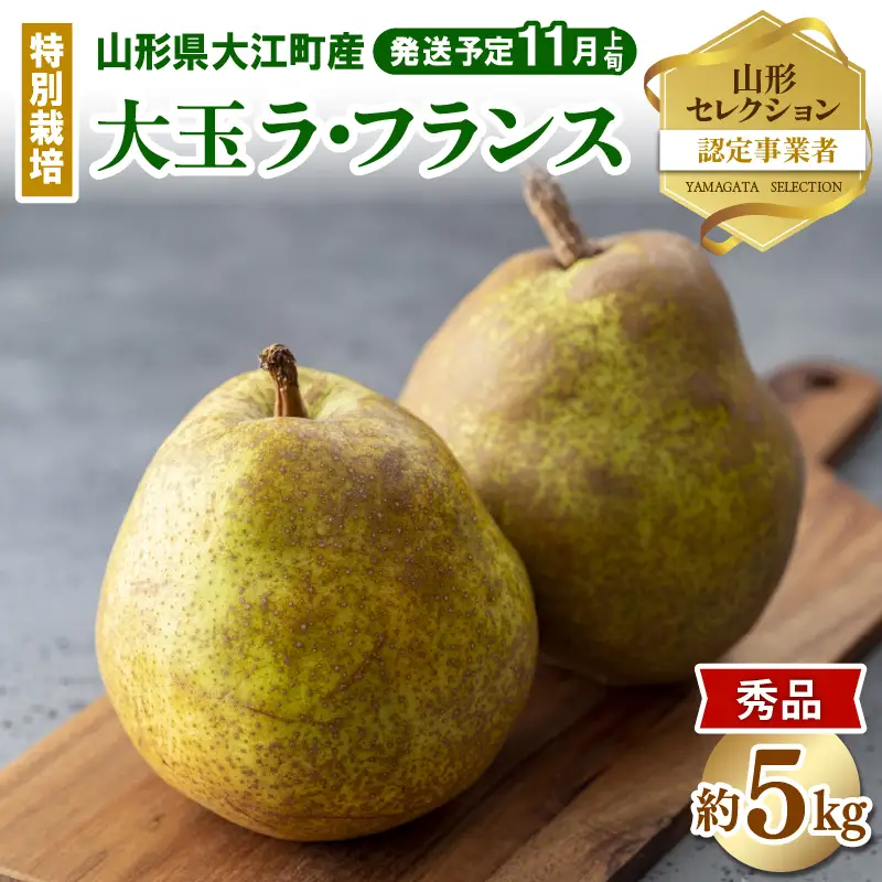 《先行予約》特別栽培 大玉 ラフランス 約5kg・秀品4L～3L 【2026年11月上旬頃～発送予定】 025-019