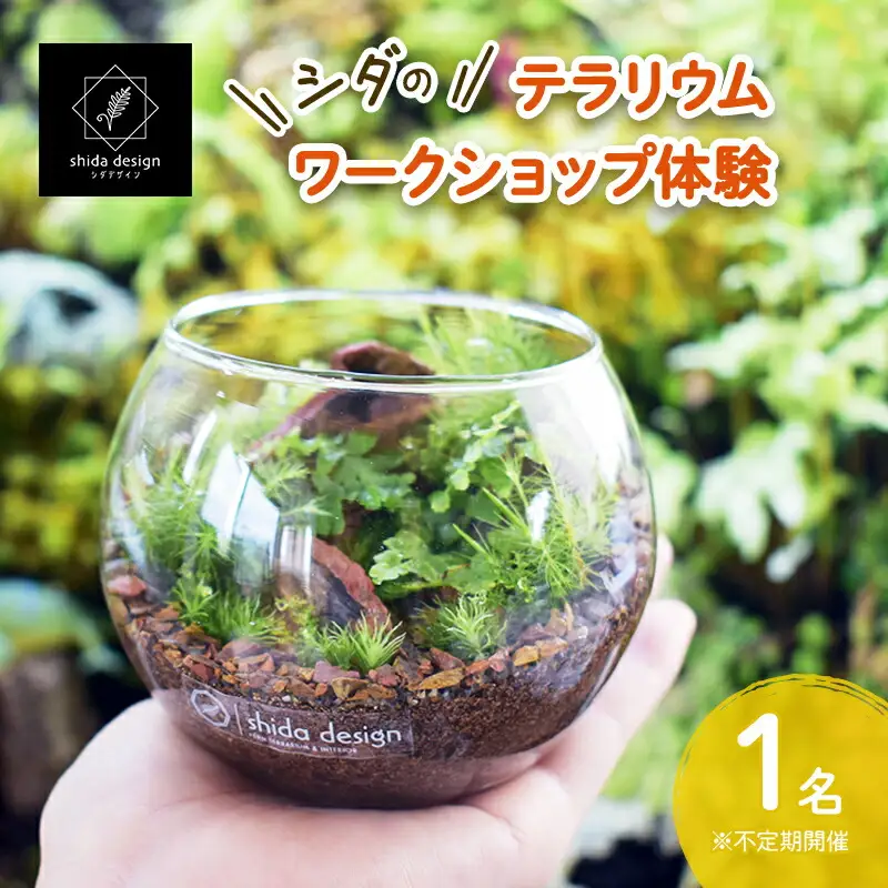 【ふるさと納税】 シダのテラリウムワークショップ体験チケット (1名様分) シダ テラリウム 植物 育成 作成 ギフト 人気 ふるさと納税 ふるさと おすすめ 送料無料 兵庫県 三田市