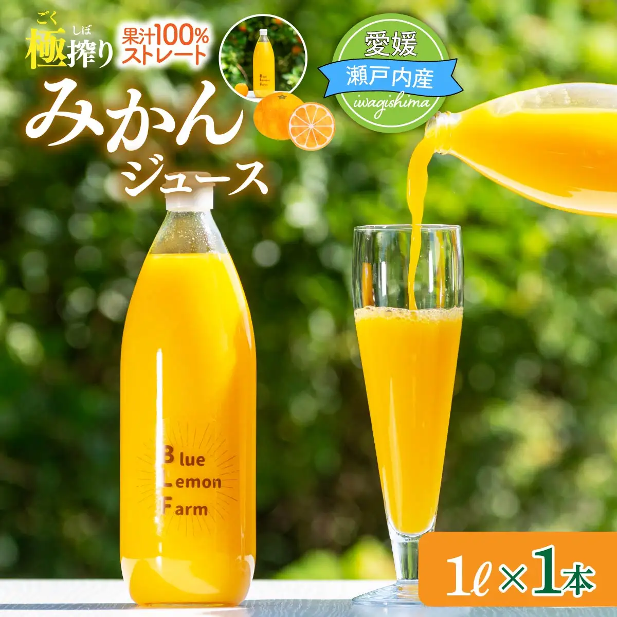 愛媛　ブルーレモンファームのごくしぼりみかんジュース　1L　1本