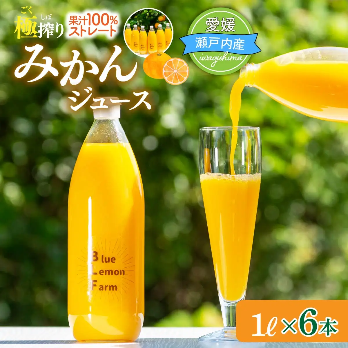 愛媛　ブルーレモンファームのごくしぼりみかんジュース　1L　6本