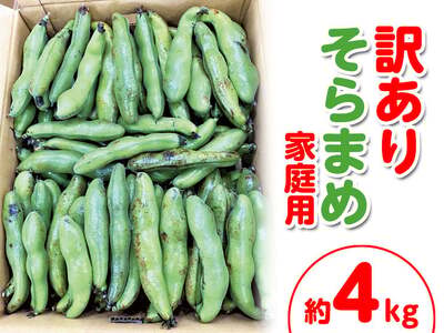 ＜先行予約！2027年5月上旬以降順次発送予定＞＜訳あり・家庭用＞そらまめ(約4kg) 国産 野菜 そらまめ 【man103】【Aglio nero】