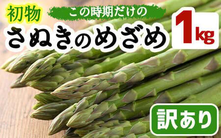 ＜先行予約！2027年2月下旬以降順次発送予定＞＜訳あり＞初物！アスパラガス さぬきのめざめ(約1kg) 香川県 国産 野菜 アスパラ 新鮮 冷蔵便 【man090】【Aglio nero】