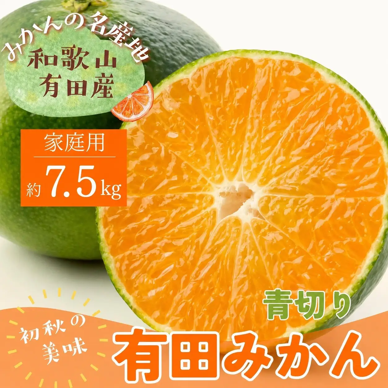 【先行予約】ご家庭用青切り有田みかん　約7.5kg+200g(傷み補償分)【2026年9月中旬～10月上旬頃に順次発送予定】【ard146B】