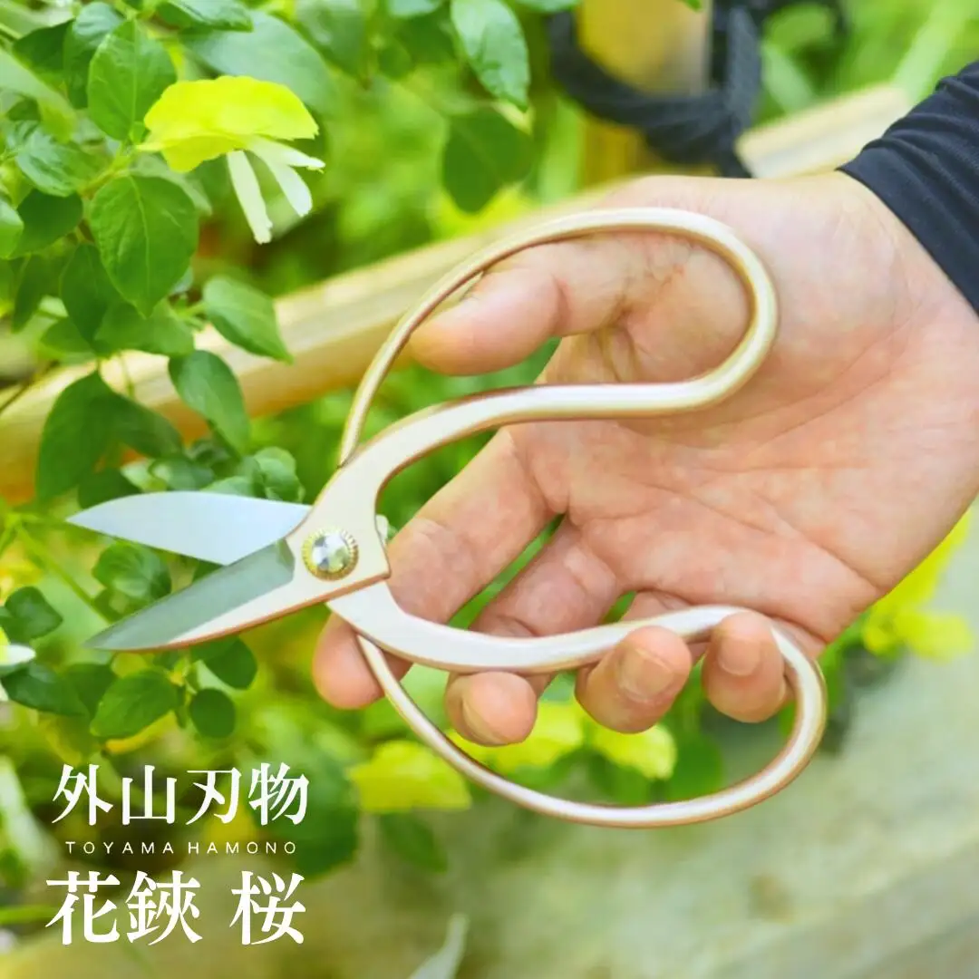 花鋏 桜 [外山刃物] 鍛造 燕三条製 園芸 農作業 庭仕事 造園 生け花 活け花 生花 活花 ガーデニング 剪定 盆栽 プロ仕様 園芸はさみ 園芸鋏 花鋏 花はさみ 生花 宗家秀久【022S060】
