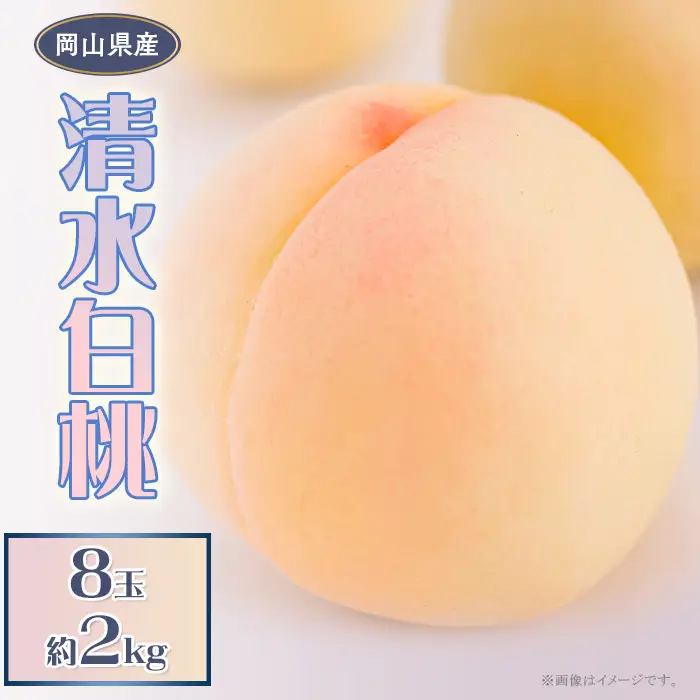 岡山県産 清水白桃８玉（約2.0kg）【26年7月下旬以降に順次発送】
