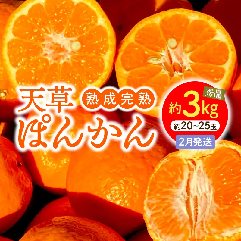 S117-004_香りを食す！熟成完熟天草ぽんかん 2月発送 約3kg秀品〈先行受付〉