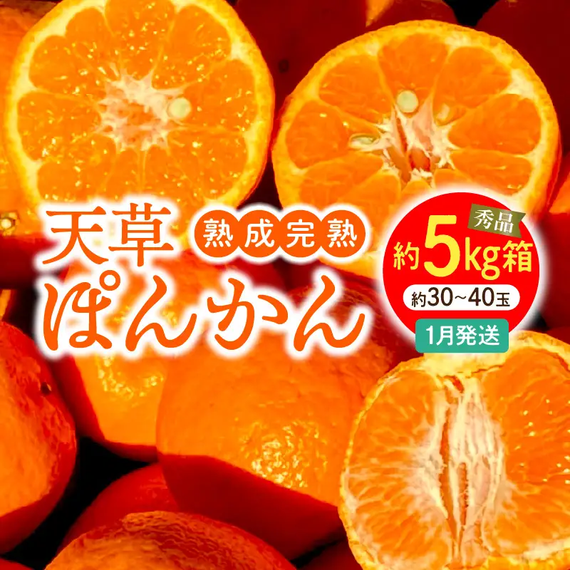 S117-005_香りを食す！熟成完熟天草ぽんかん 1月発送 約5kg箱 秀品〈先行受付〉