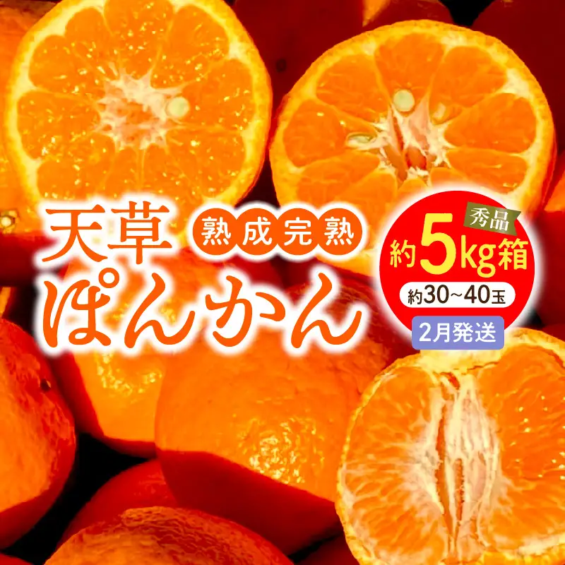 S117-006_香りを食す！熟成完熟天草ぽんかん 2月発送 約5kg箱 秀品〈先行受付〉