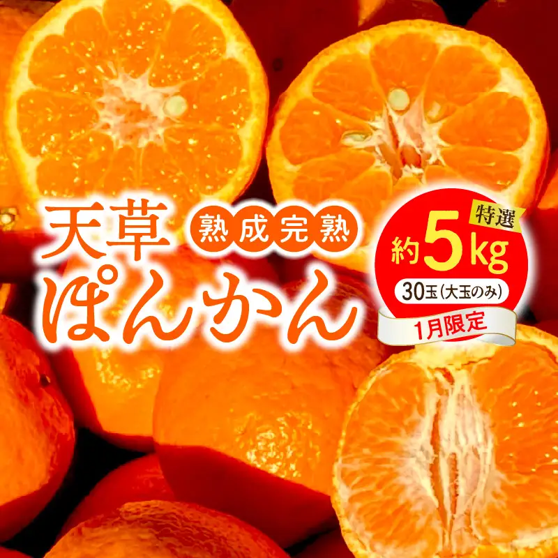 S117-007_香りを食す！熟成完熟天草ぽんかん 1月限定 特選約5kg（30玉）〈先行受付〉