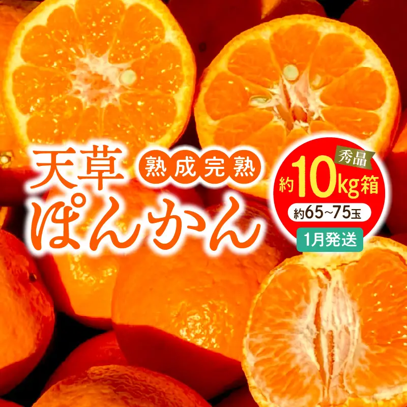 S117-010_香りを食す！熟成完熟天草ぽんかん 1月発送 約10kg箱 秀品〈先行受付〉