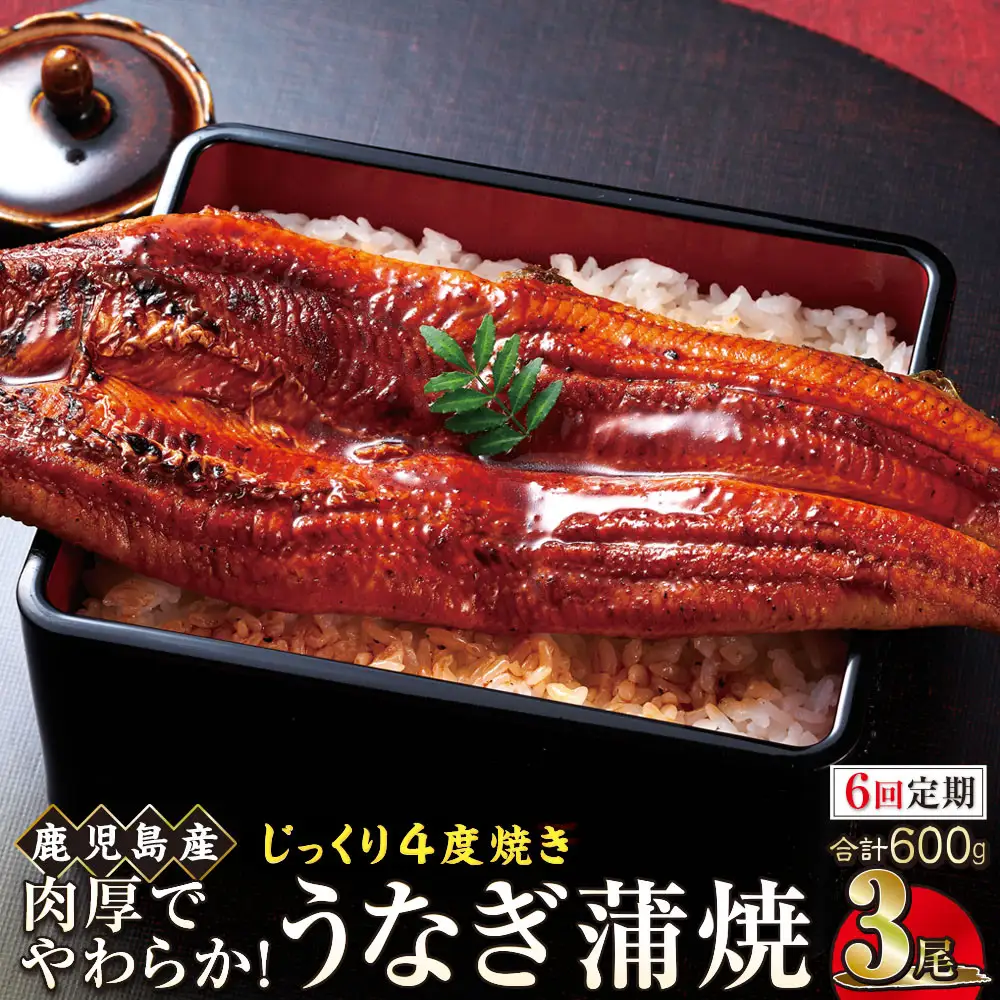 【6回定期】うなぎ 蒲焼 200g×3尾【鹿児島産】地下水で育てた絶品鰻｜うなぎ