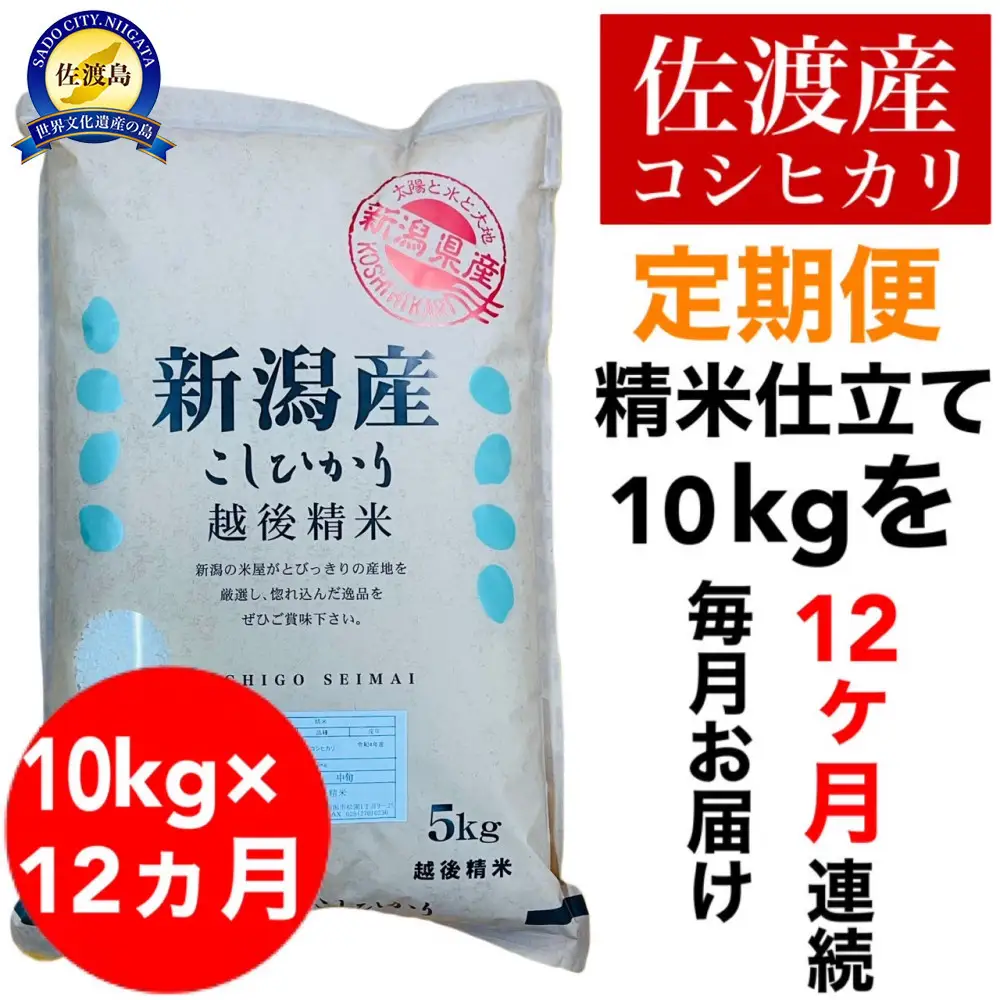 【12か月定期便 コシヒカリ】佐渡産コシヒカリ 精米 合計120kg（10kg（5kg×2袋）×毎月全12回）単一原料米 産地指定米