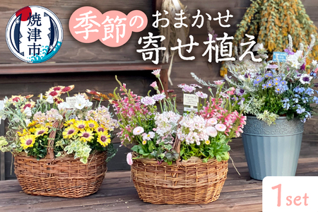 季節のおまかせ寄せ植え (a21-055)