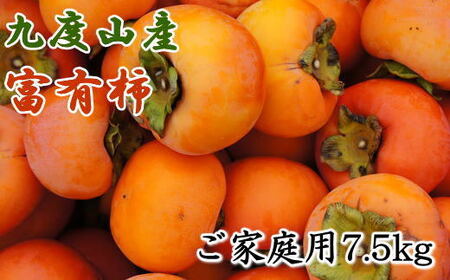 ≪柿の名産地≫九度山の富有柿約7.5kgご家庭用 