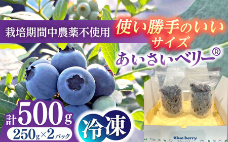 【8月より順次発送】 冷凍 ブルーベリー 250g×2 「あいさいベリー」  標準サイズ[AEBZ005]