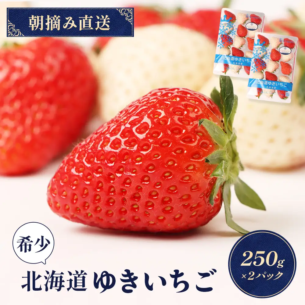 【2027年１月以降発送！】【北海道産】ゆきいちご（ゆきぼたん/すず）赤白MIX×2Pセット 250g×2 計500g 苺 白いちご 一季成りイチゴ 希少 ギフト お取り寄せ ふるさと納税 北海道 中標津【5900302】