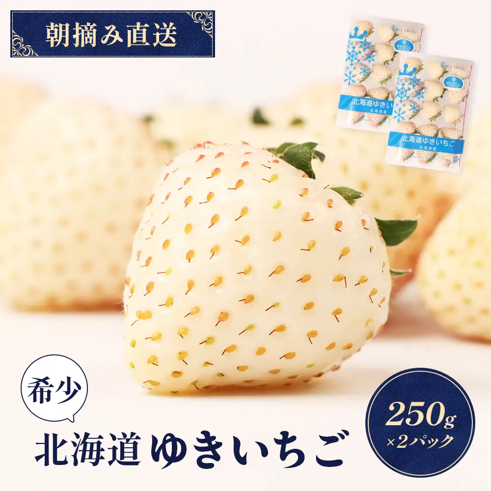 【2027年１月以降発送！】【北海道産】ゆきいちご（白いちご） 2Pセット 250g×2 計500g 苺 イチゴ 白いちご 一季成りイチゴ ゆきぼたん パールホワイト 希少 高級 ギフト お取り寄せ ふるさと納税 北海道 中標津【59001】