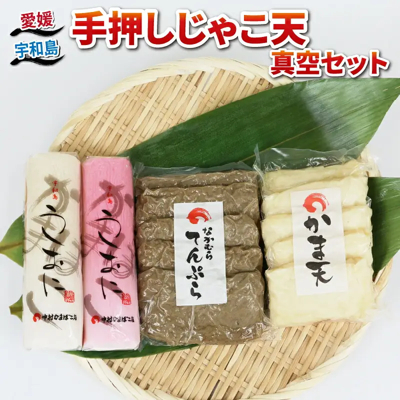 じゃこ天 真空 セット 中村かまぼこ店 かまぼこ C010-013006