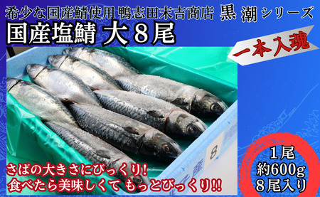 国産塩鯖 大サイズ８尾 約4kg 冷凍 さば サバ 鯖 国産 塩 美味しい 国産鯖 青魚 塩鯖 新鮮 海鮮 バーベキュー 千葉県 銚子市