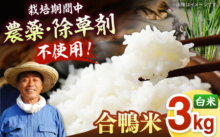  [栽培期間中 農薬不使用 ] 令和8年度産 新米 古野農場の 合鴨農法 で作った「 合鴨米 （ 白米 ）3kg」 桂川町/合鴨家族 古野農場 [ADAL006] 合鴨米 米 白米 お米 無農薬米 精米 米 支援 支援品