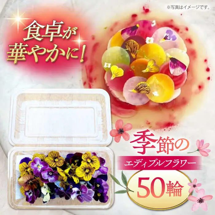 季節のエディブルフラワー50輪おまかせ 桂川町/NOGAMI FARM [ADAU001] 食用 花 食用花 エディブルフラワー 盛り付け カフェ