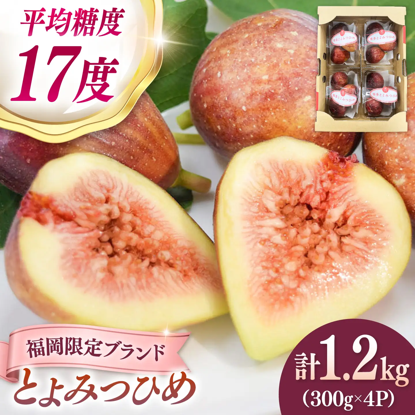 いちじく とよみつひめ 秀品 1.2kg [ADAY001] いちじく