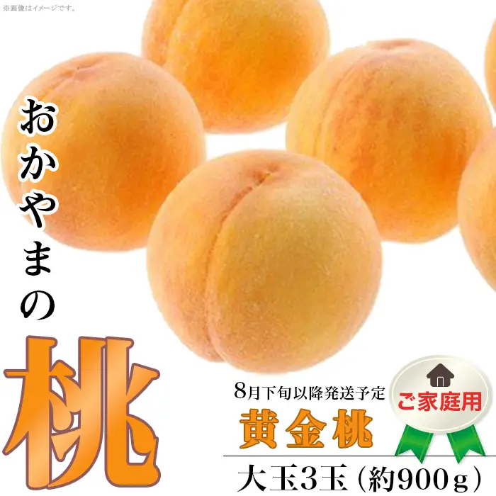 【ご家庭用】おかやまの「黄金桃」 大玉3玉（約900g）【27年8月下旬以降に順次発送】