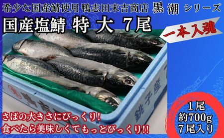 国産塩鯖 特大サイズ ７尾 約4kg 冷凍 銚子 さば サバ 鯖 国産 塩 美味しい 国産鯖 青魚 塩鯖 新鮮 海鮮 バーベキュー さば サバ 鯖 塩鯖 塩さば 千葉県 銚子市