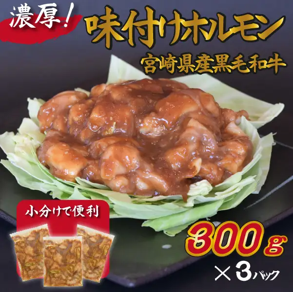 宮崎県産黒毛和牛濃厚味付けホルモン900g（ 牛 国産 ホルモン 300g 3パック 焼肉 炒め物） 焼肉 和牛焼肉 牛肉焼肉 ホルモン焼肉 国産焼肉